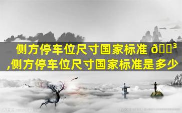 侧方停车位尺寸国家标准 🐳 ,侧方停车位尺寸国家标准是多少